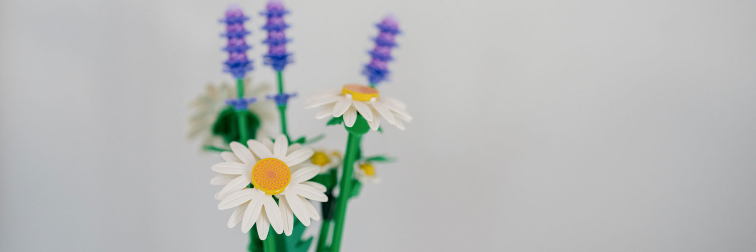 neurologie-psychiatrie-fuerstenfeldbruck-gallerie01 Dekorative Blumen mit Lavendel und Gänseblümchen